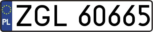 ZGL60665