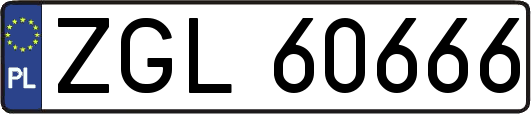 ZGL60666