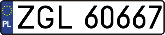 ZGL60667