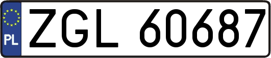 ZGL60687