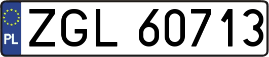 ZGL60713