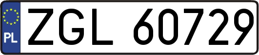 ZGL60729