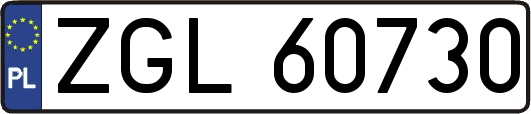 ZGL60730