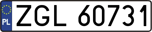 ZGL60731