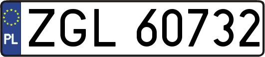 ZGL60732