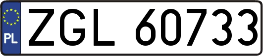 ZGL60733