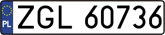 ZGL60736
