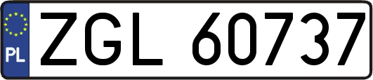 ZGL60737