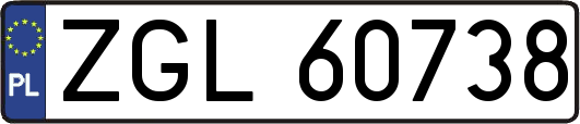 ZGL60738