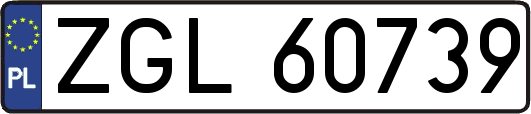 ZGL60739