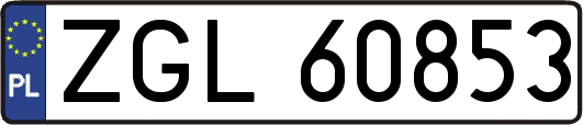 ZGL60853