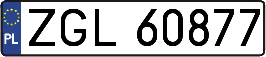 ZGL60877