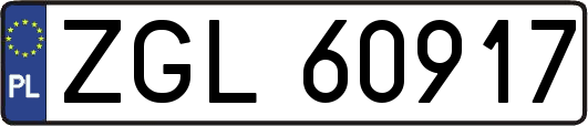 ZGL60917