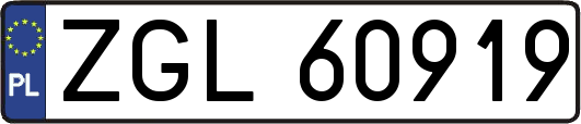ZGL60919