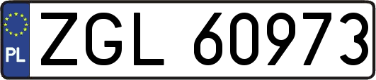 ZGL60973