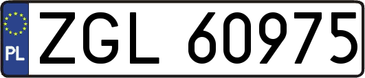ZGL60975