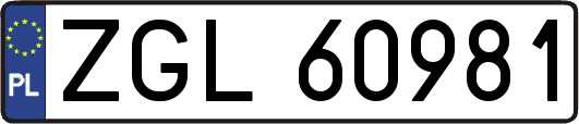 ZGL60981