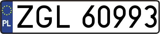 ZGL60993