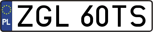 ZGL60TS