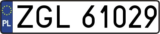 ZGL61029