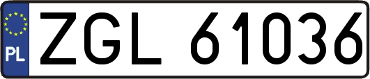 ZGL61036