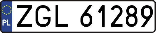 ZGL61289