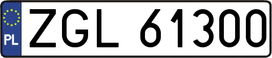 ZGL61300
