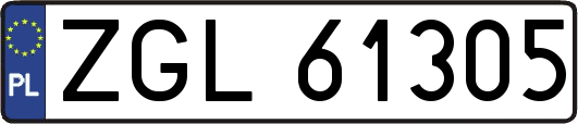 ZGL61305