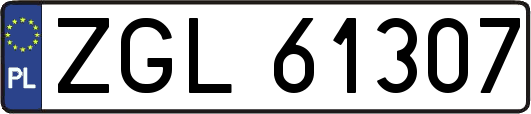 ZGL61307
