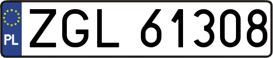 ZGL61308