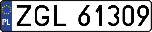 ZGL61309
