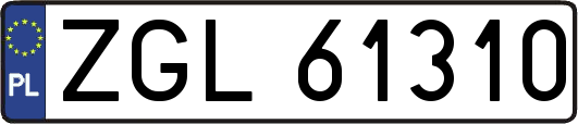 ZGL61310