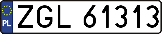 ZGL61313