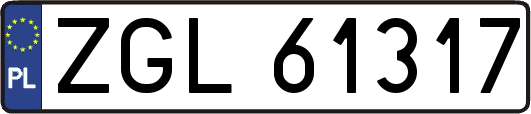 ZGL61317