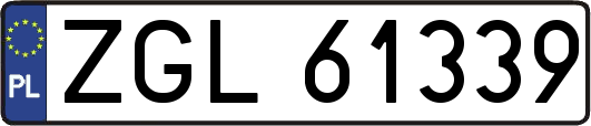 ZGL61339