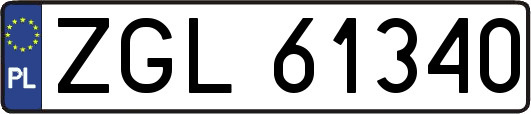 ZGL61340