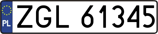 ZGL61345