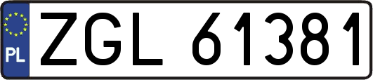ZGL61381