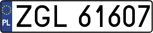 ZGL61607