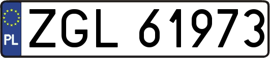 ZGL61973
