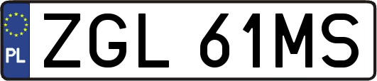 ZGL61MS