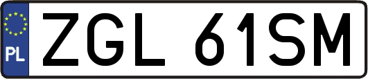 ZGL61SM