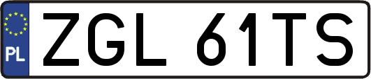 ZGL61TS