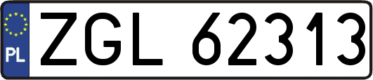 ZGL62313