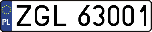 ZGL63001