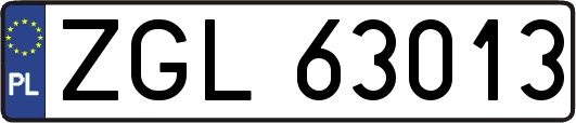ZGL63013