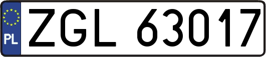 ZGL63017