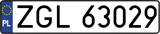 ZGL63029
