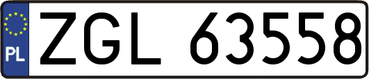 ZGL63558