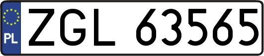 ZGL63565